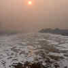 Toxic foam floats on Yamuna