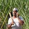 Article image for: Who shrunk India’s informal sector?