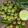 Article image for: <i class="tbold">indian gooseberry</i>
