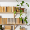 Benefit of biophilic workspace 