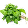 ​What is Basil?
