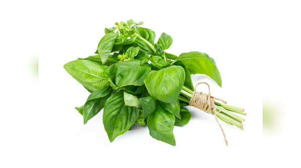 What is Basil?