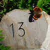 13 surrounds our lives