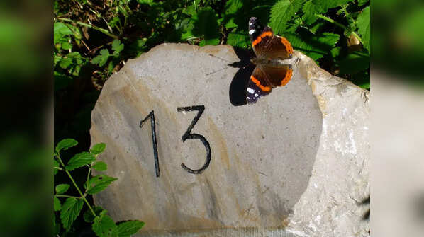 13 surrounds our lives
