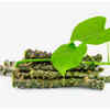 ​Benefits of Giloy Tea