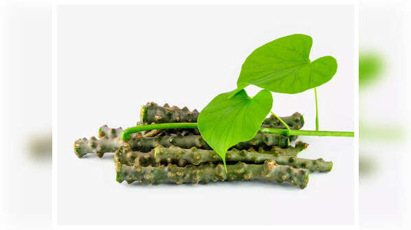 Benefits of Giloy Tea