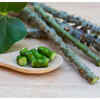 ​Link between giloy and liver