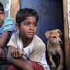 'Kaaka Muttai'