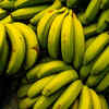 Green banana