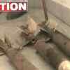Article image for: Arms seized from Maoists hideout in Jharkhand