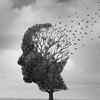 Alzheimer's is not a preventable disease, but risk factors can be altered