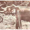 Ariyappedatha Rahasyam