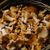 Selenium-rich foods