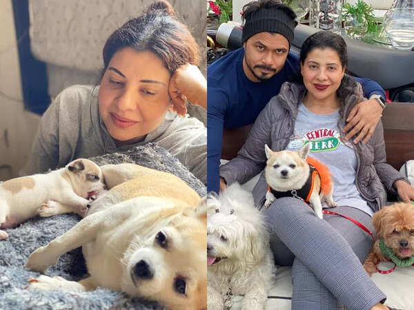 Sambhavna Seth Stills