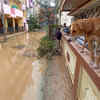 Photos of submerged colonies, waterlogged roads in Bengaluru