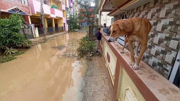 Photos of submerged colonies, waterlogged roads in Bengaluru
