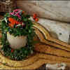 Article image for: Pakistani Mahadev Temple in Varanasi depicts glorious history