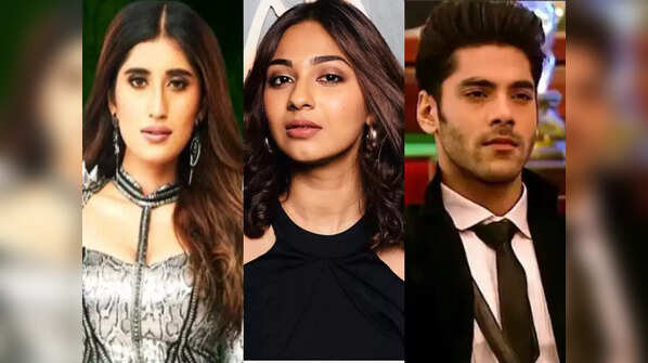 Vidhi Pandya felt Akasa and Simba deserved to get eliminated