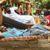 Article image for: Breaking: Pawan Kalyan's 'Bheemla Nayak' teaser set to release on this date?