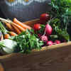 Why you must eat seasonal vegetables