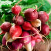 Radish