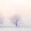 Temperature drop