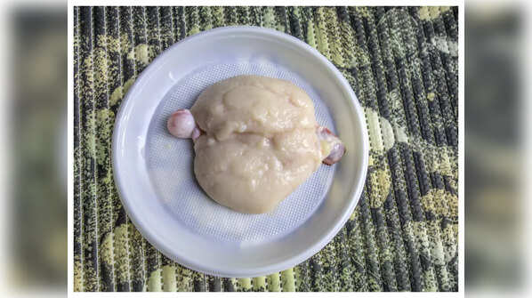 World Testicle Eating Championship