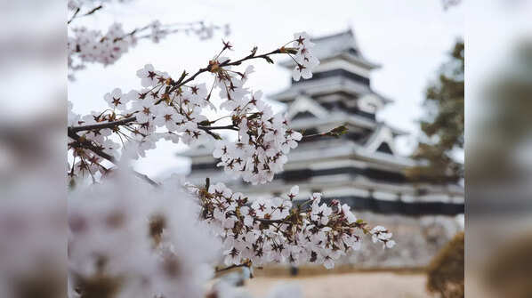 Japan