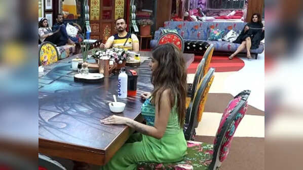 Sneha Wagh called all the housemates 'fake'
