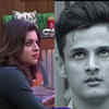 ​Sneha blames Jay for her eviction