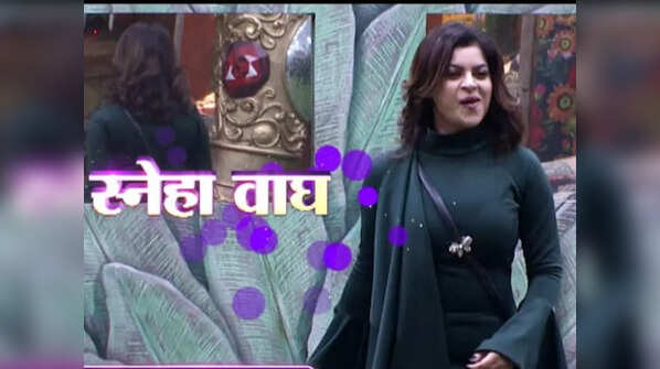 Sneha re-entered and thanked Bigg Boss