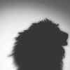 Article image for: On <i class="tbold">courage</i>...