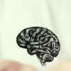 Article image for: For <i class="tbold">brain health</i>