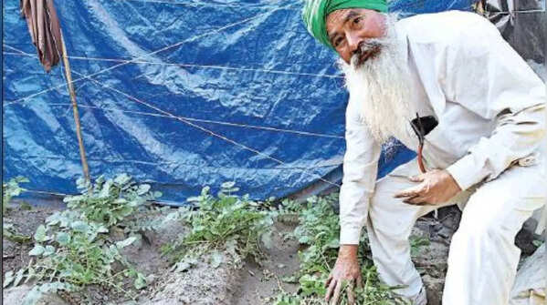 farmer at Singhu border