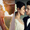 Katrina-Vicky, Priyanka-Nick: Celeb couples who married after a few months of dating