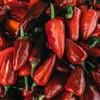 Spicy food means nightmares