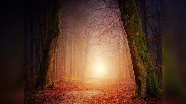 Interesting facts about dreams you had no clue about