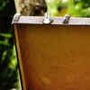 Article image for: <i class="tbold">suitcase</i>