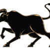 Taurus