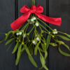 What is mistletoe?