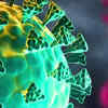 Article image for: Research finds vaccines, previous infection might offer stronger than basic protection against Omicron