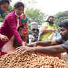 Two day Kadlekai Parishe (Ground nut fair) inaugurated
