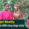 Article image for: Rajni Shetty feeds 800 stray dogs daily