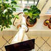 Article image for: <i class="tbold">wfh</i>