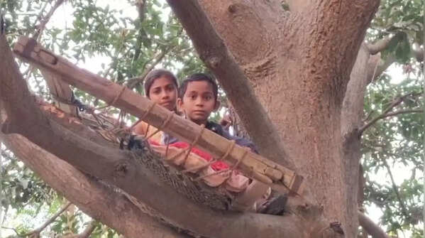 Photos from Gujarat: Fear of raging bull makes villagers sleep on trees