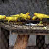 ​Getting together for lunch