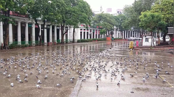 In pics: Weekend curfew begins in Delhi