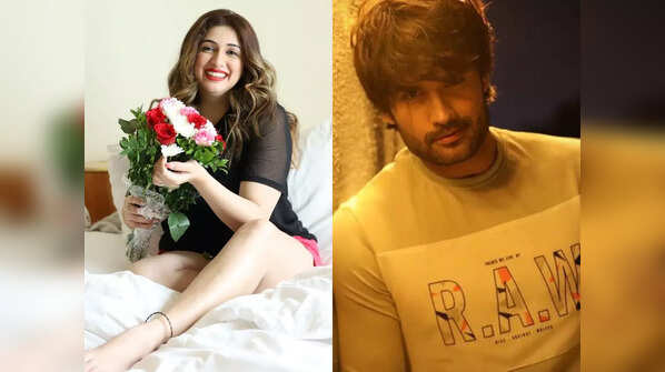 Vahbiz Dorabjee-Vivian Dsena