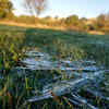 Ice crystal on the ground of Desert Park