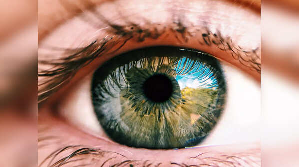The eyes